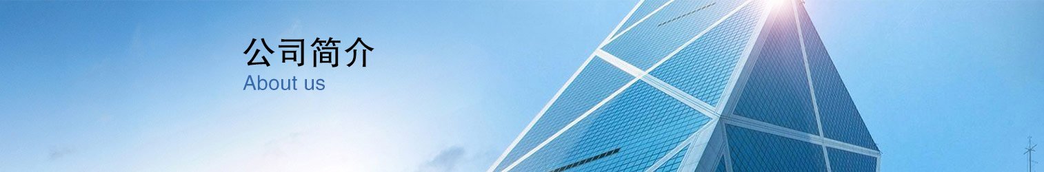 公司简介